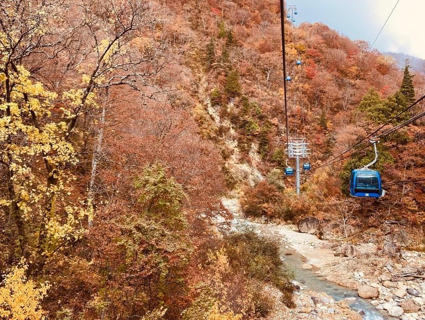 【酒遍北陸東日本之旅】世界遺產「白川鄉」、豪華觀光列車細味新潟水鏡絕景7日深度遊