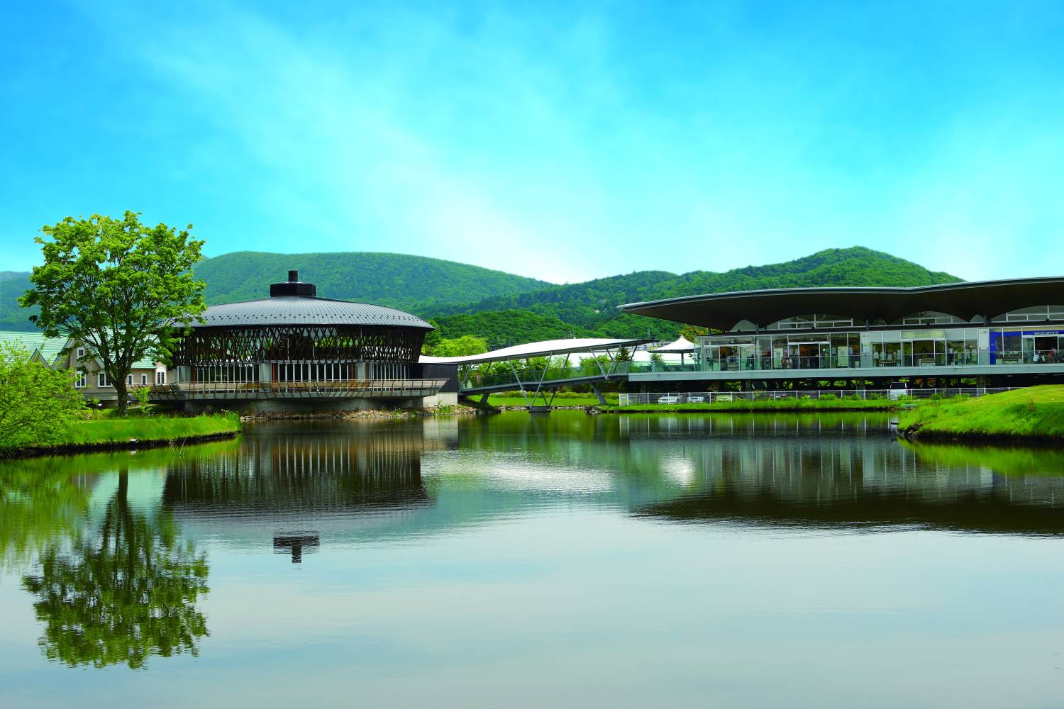 【富士山露營車旅行團】 日本東京七日六夜 秋日紅葉 露營車旅行團