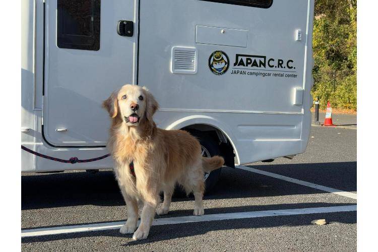 【Tokyo】Japan Rental Caravan RV Road Trip Experience (C-Happy1 Premium)