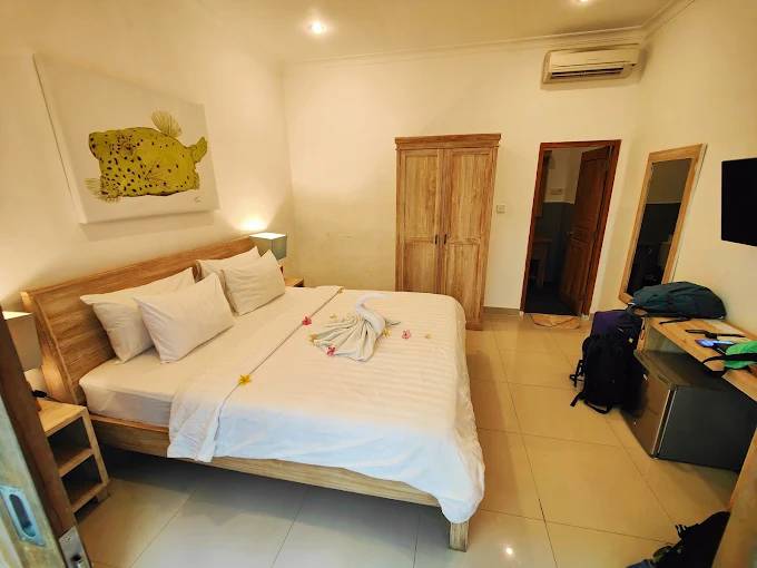 【Gili Trawangan】Blue Marlin Dive Indonesia diving package