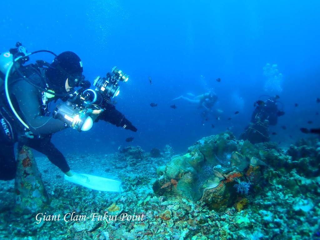 【Manado】Cocotinos Manado Resorts Indonesia diving package