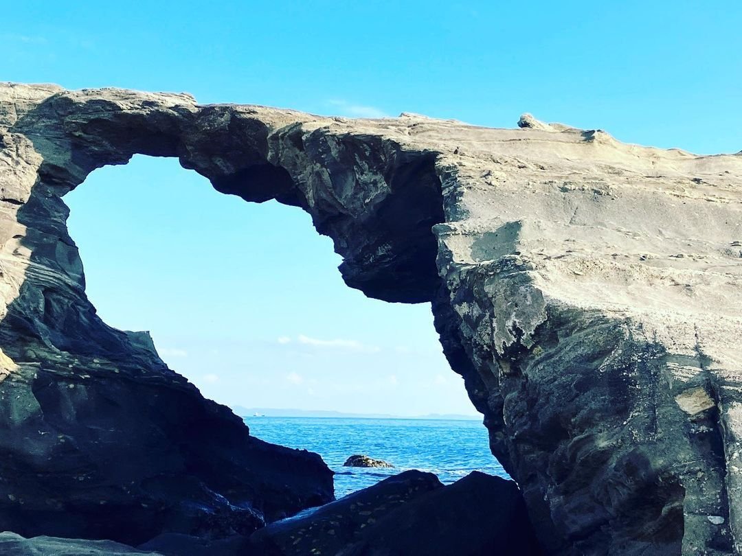 【春日賞櫻】東京郊區三浦賞櫻、士多啤梨任食、吞拿魚市場包車一日遊