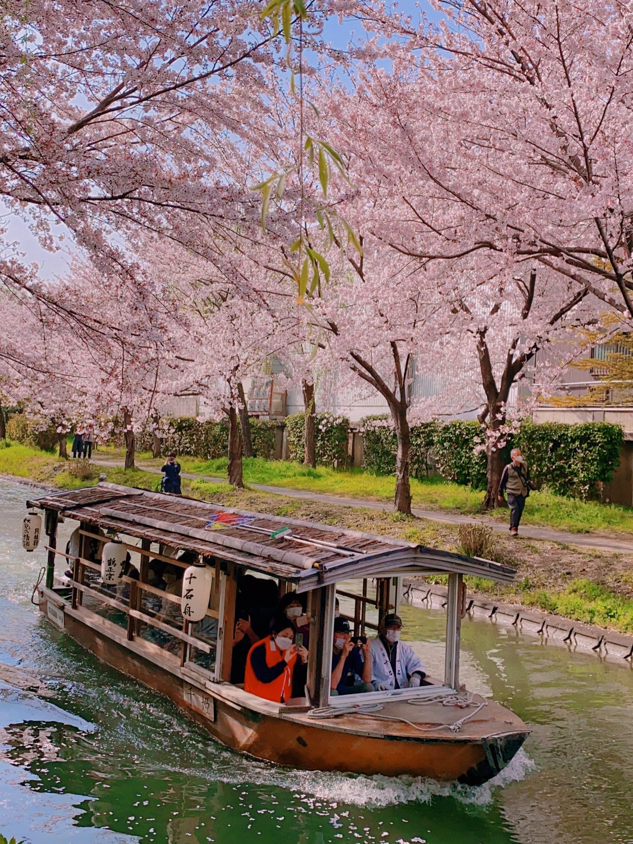 【Private Charter】Osaka 10-Hour Customized Cherry Blossom Viewing and Fruit Picking Tour to Kobe/Nara with Chinese-speaking Driver (7/10 Passenger Vehicle)