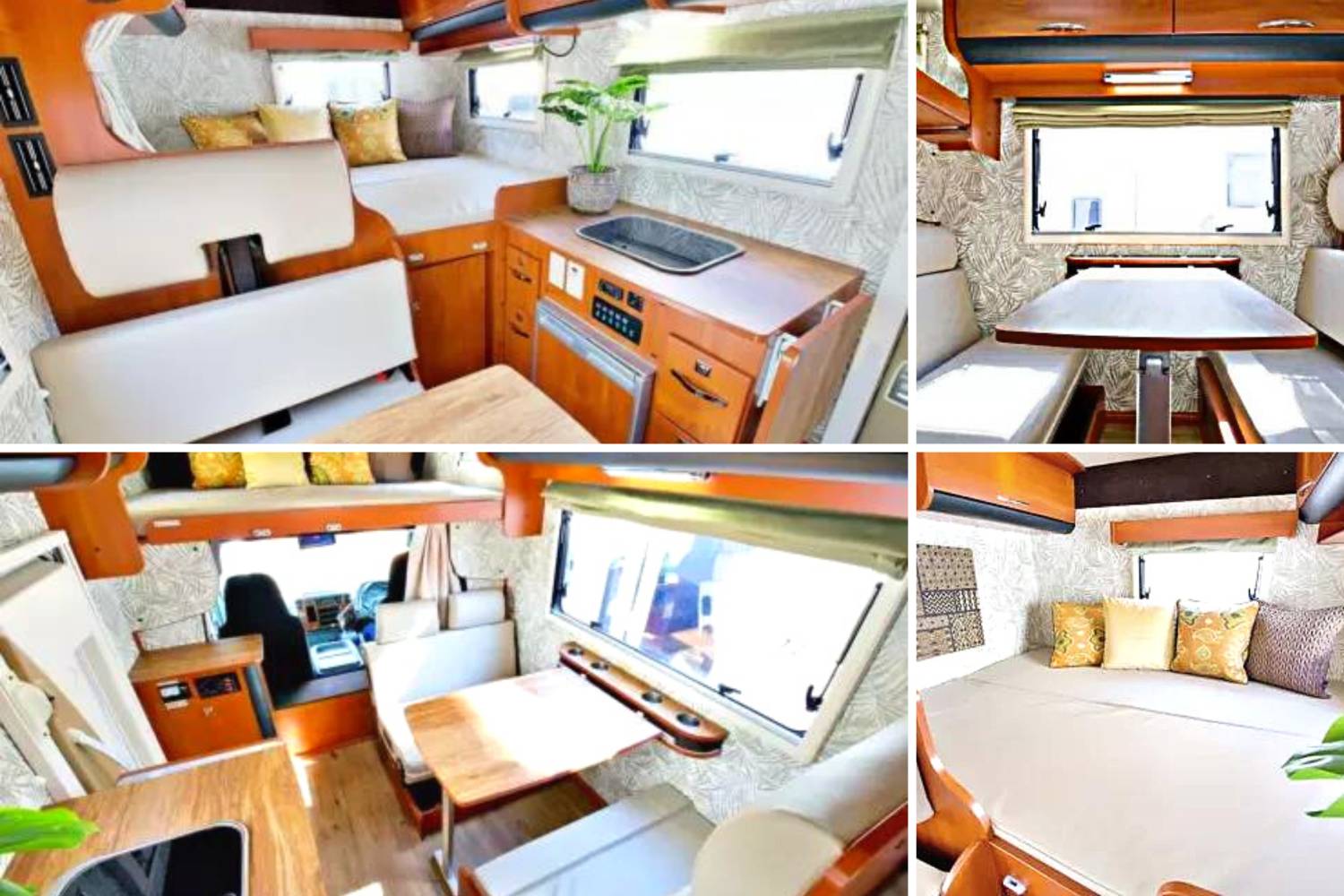 【Tokyo】Japan 6ppl RV Caravan 24 hours Rental Experience(JTMC2)