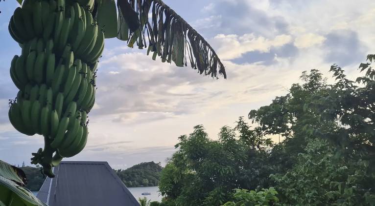 【Fuji】Matava Resort Diving package