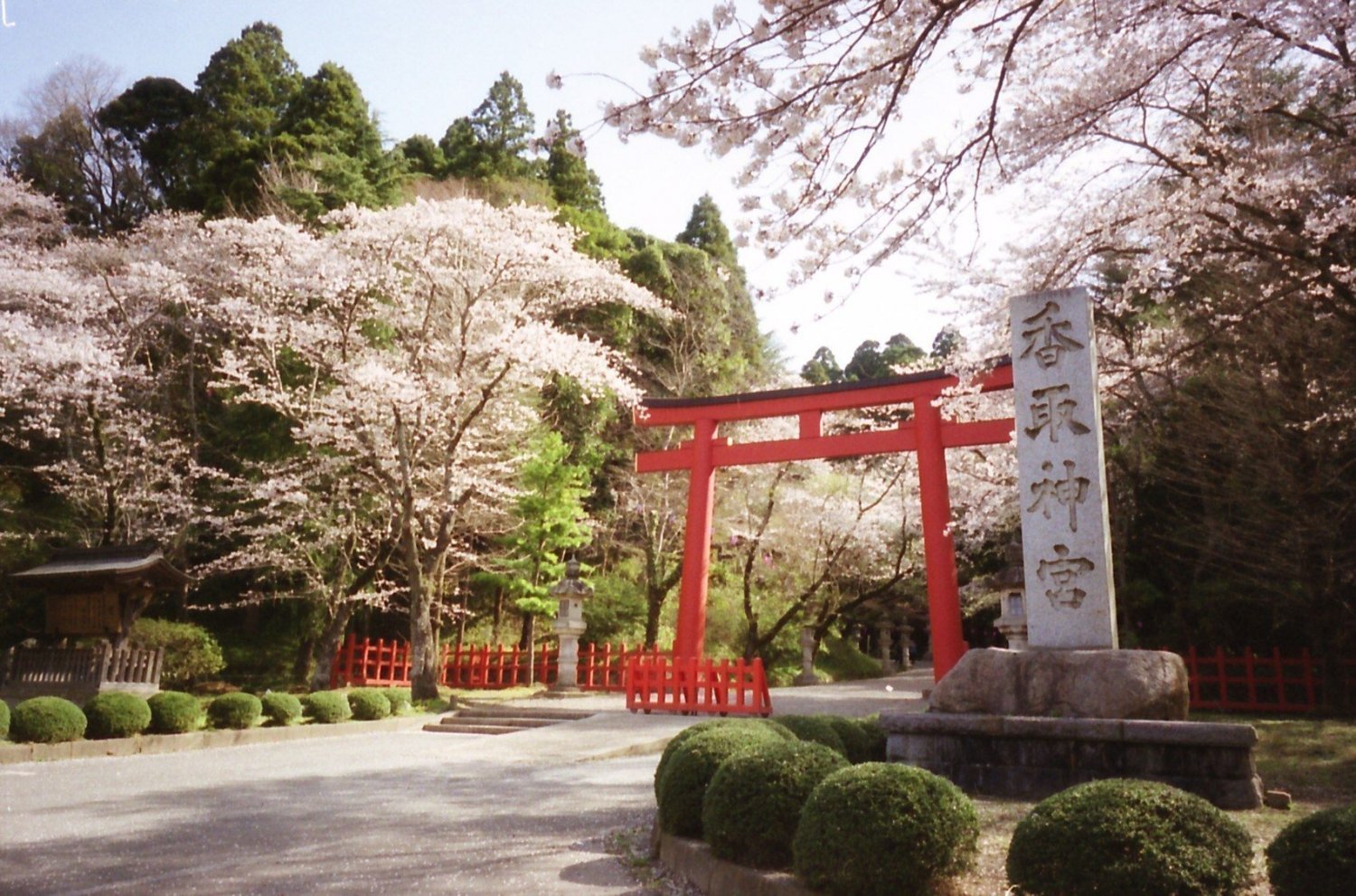 【露營式旅行】東京租借露營車24小時體驗 (5人)