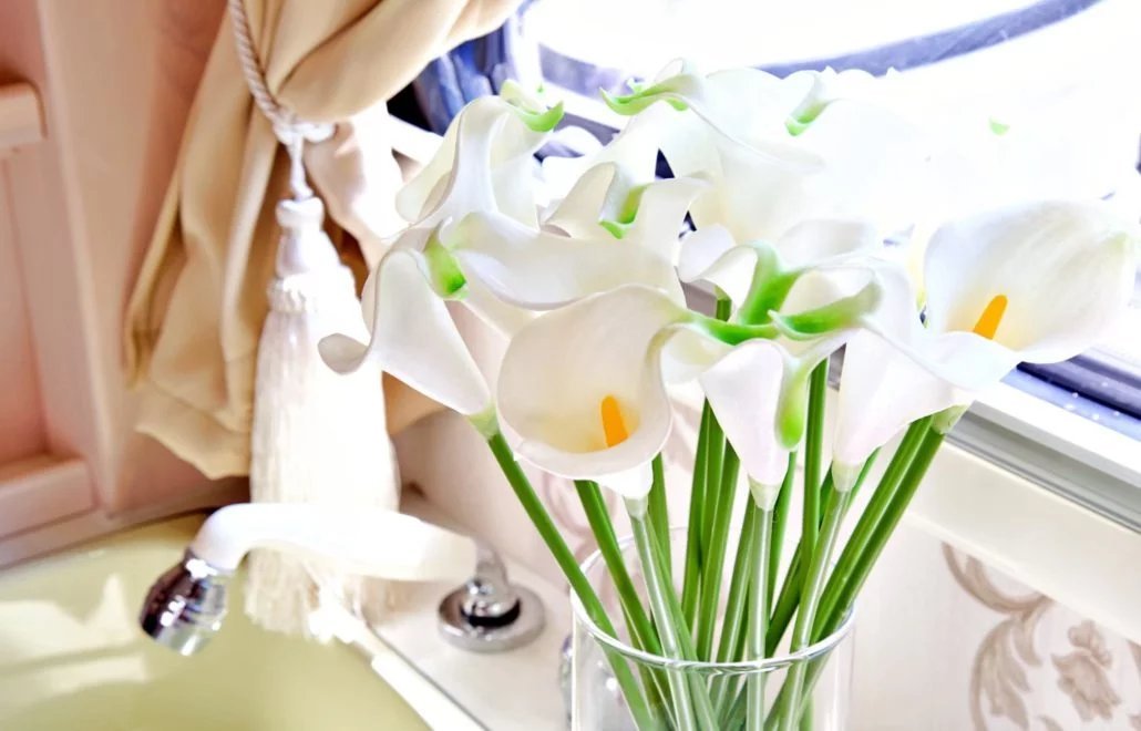 【Tokyo】Japan 5ppl RV Caravan 24 hours Rental Experience(JTSR)