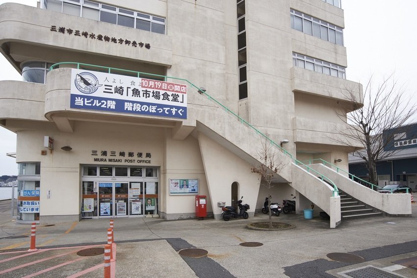 【春日賞櫻】東京郊區三浦賞櫻、士多啤梨任食、吞拿魚市場包車一日遊