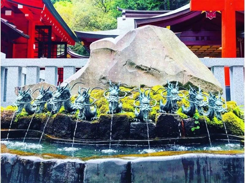 【春日賞櫻】東京郊區三浦賞櫻、士多啤梨任食、吞拿魚市場包車一日遊