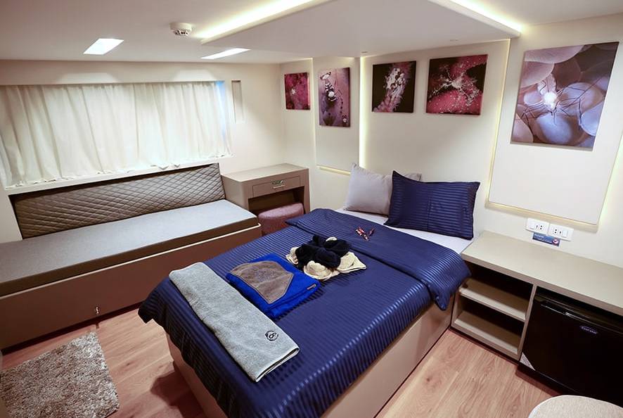 【Egypt】All Star Scuba Scene / Red Sea