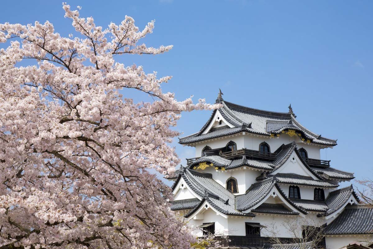 【日本JR Pass】北陸拱型鐵路周遊券 | 順豐郵寄 (7日)